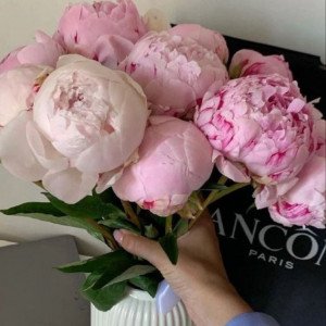 9 пионов с лентами