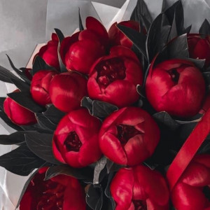 15 красных пионов с зеленью