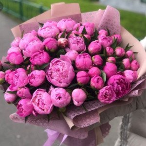 51 малиновый пион с упаковкой